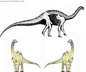 пазл Zizhongosaurus — род базальной завроподов травоядных динозавров, которые жили в начале юрского периода Китайской.